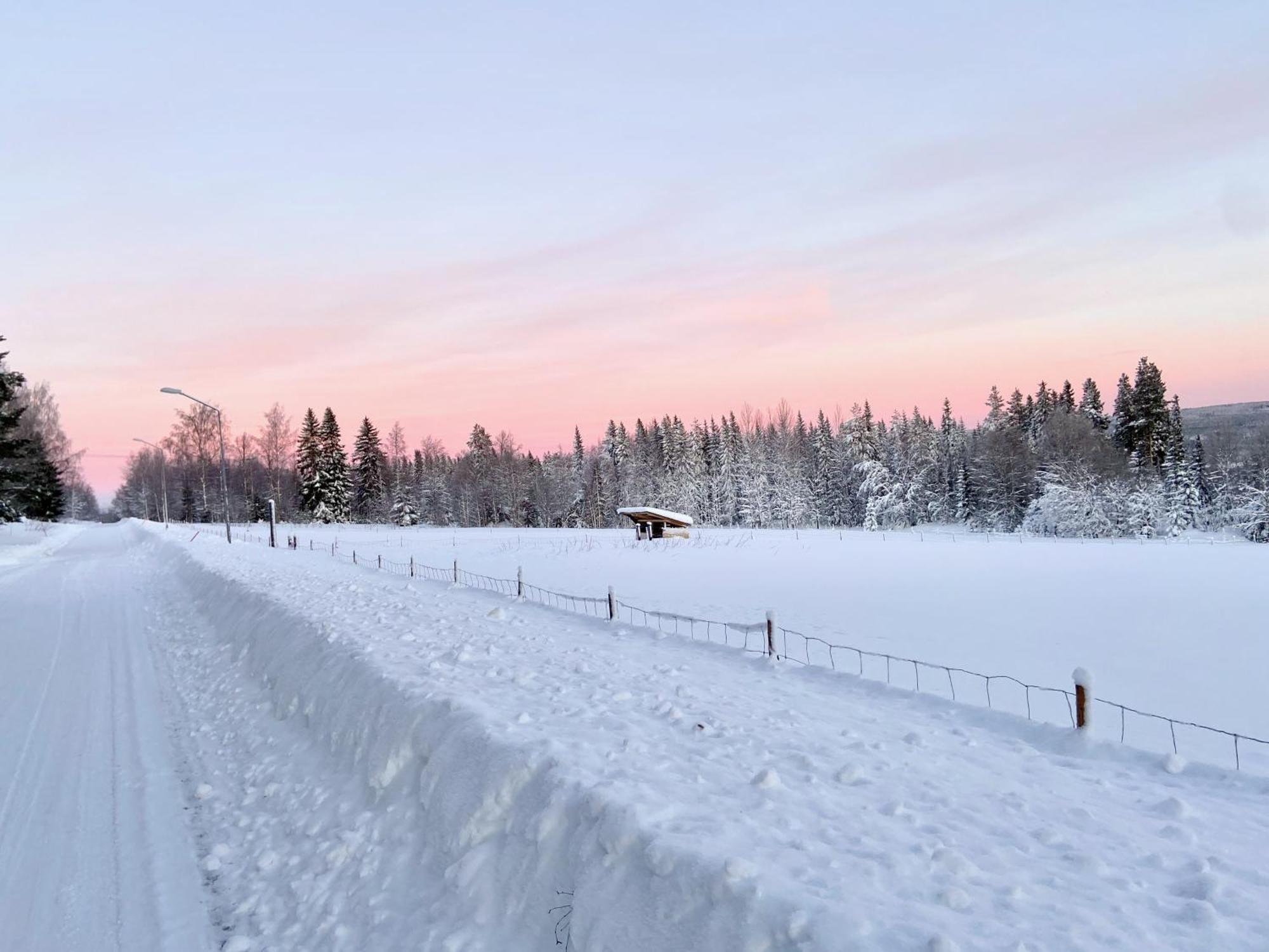 Vildmarksgard Lillviken Strömsund Esterno foto